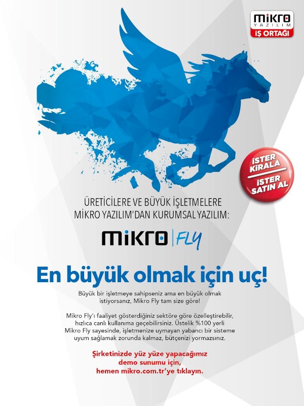 Mikro Fly